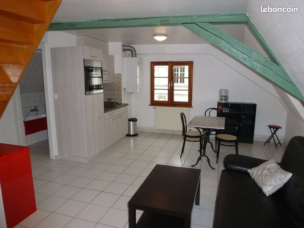 Appartement à louer, 40m², Colmar