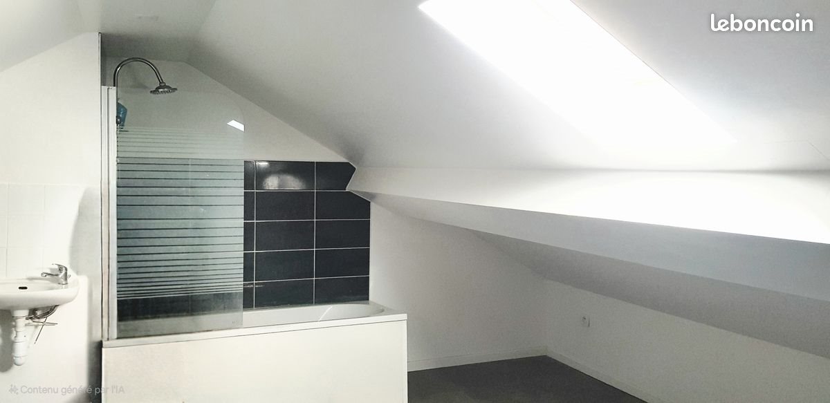 Appartement à louer, 25m², Lille
