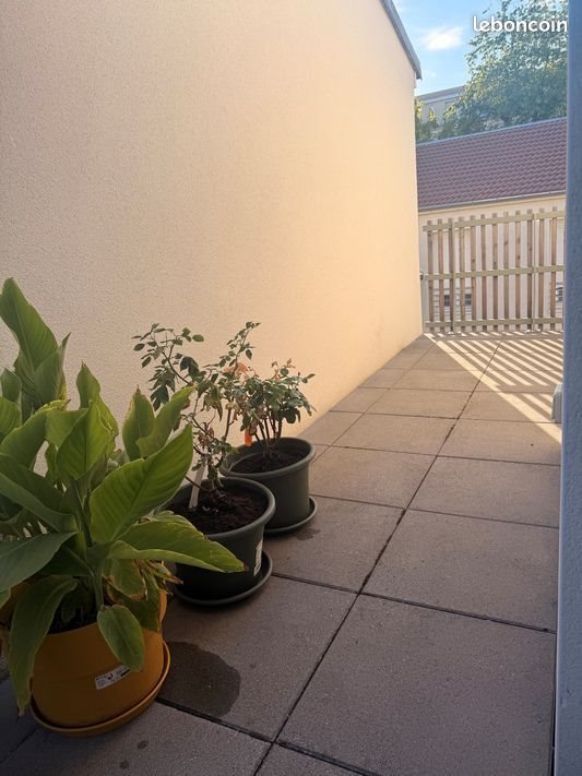 Appartement à louer, 63m², Reims