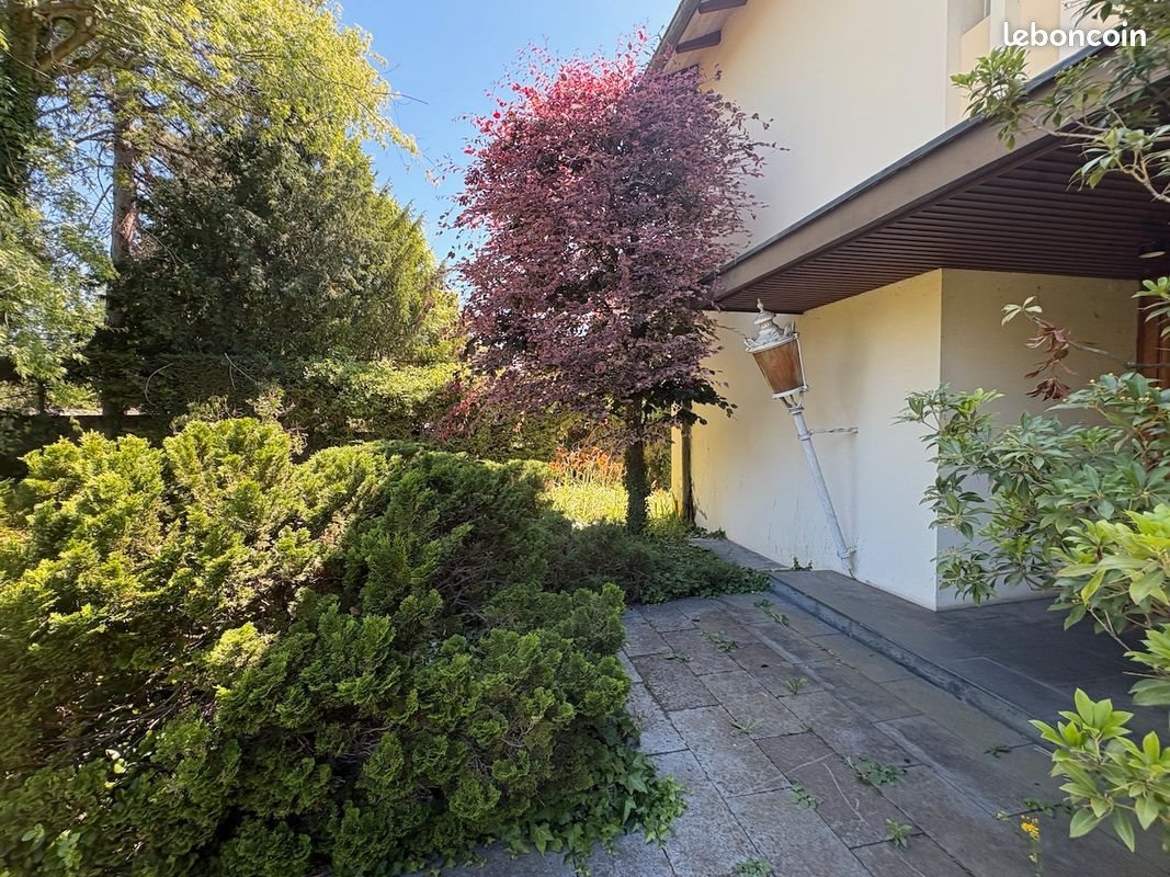 Maison à vendre, 233m², Colmar