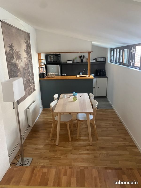 Appartement à louer, 44m², Lille