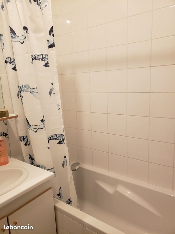 Appartement à louer, 18m², Roubaix