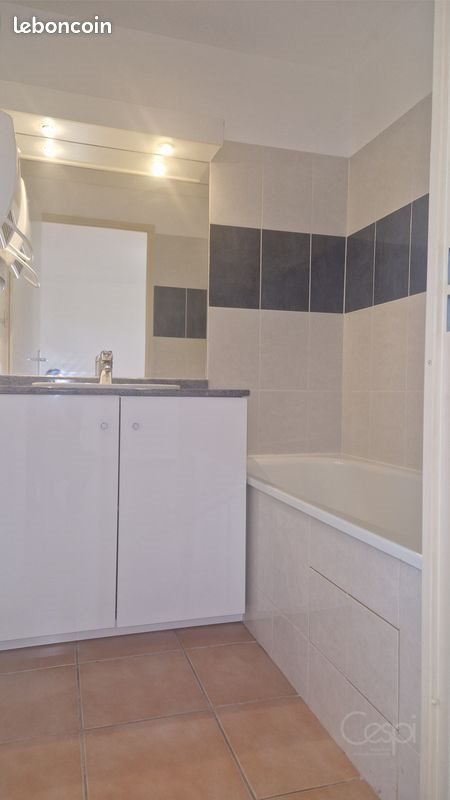 Appartement à louer, 39m², Seilh