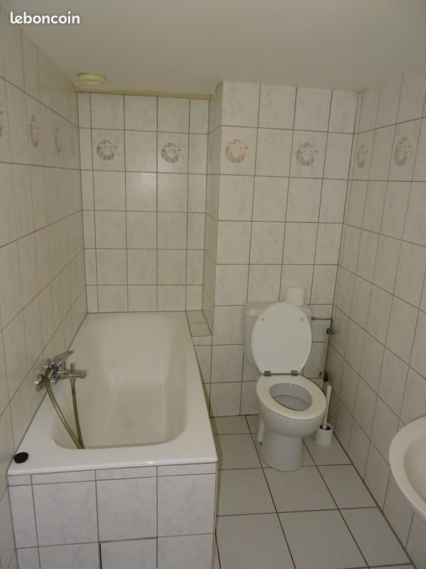 Appartement à louer, 18m², Colmar