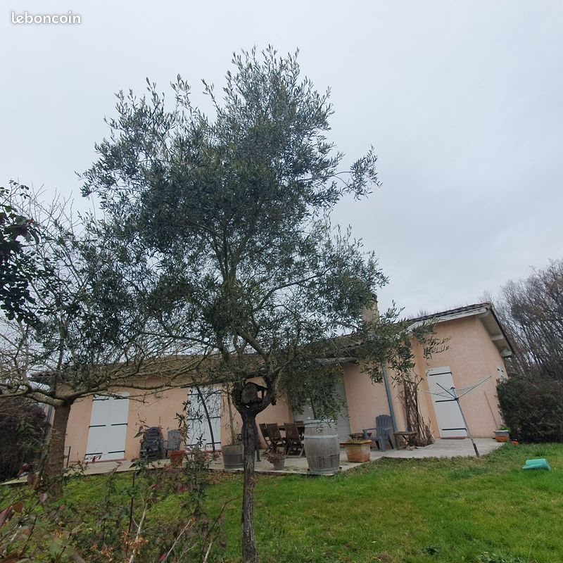 Maison à louer, 134m², Vacquiers