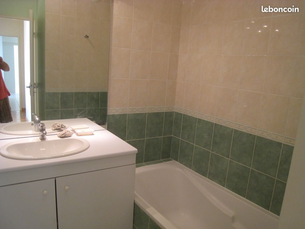 Appartement à louer, 66m², Lyon 8ème