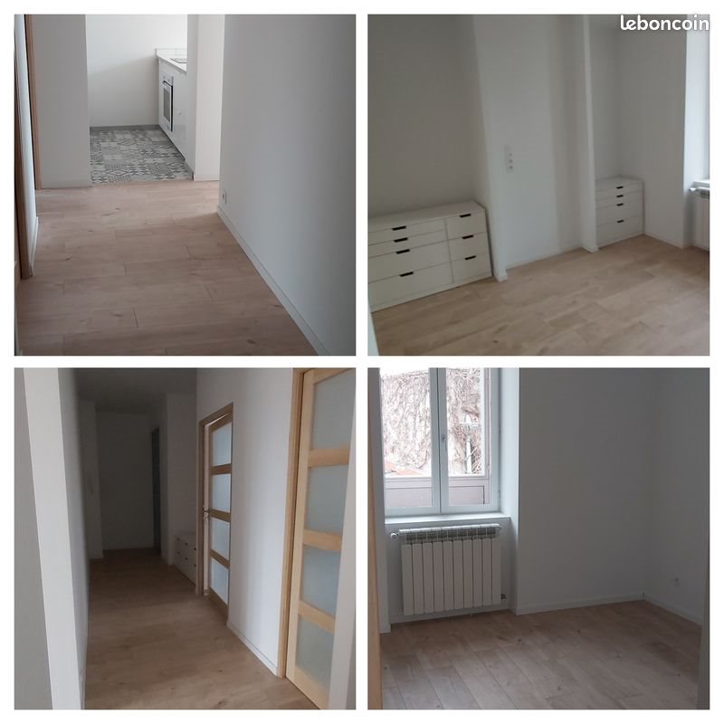Appartement à louer, 55m², Roanne