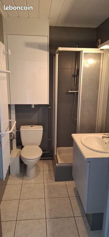 Appartement à louer, 32m², Rixheim