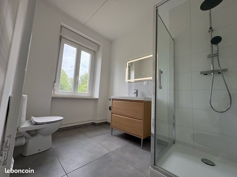 Appartement à louer, 52m², Mulhouse