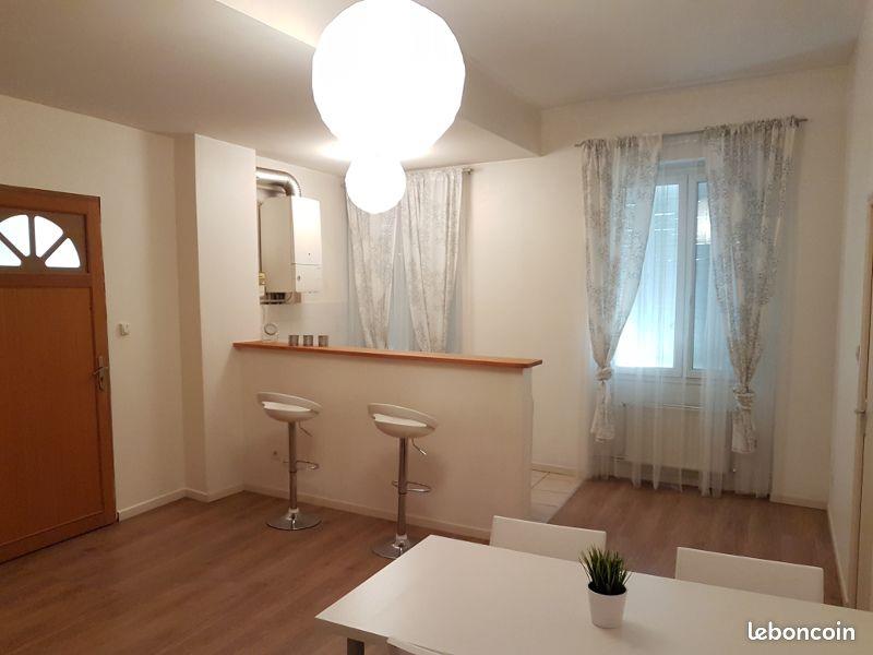 Appartement à louer, 44m², Saint-Etienne