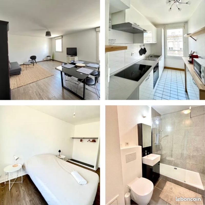 Appartement à louer, 53m², Reims