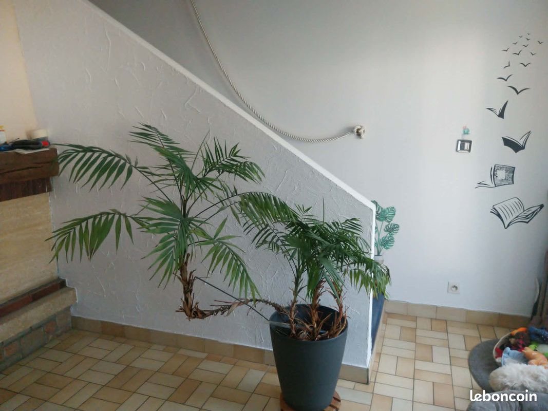 Maison à vendre, 105m², Charleville-Mézières