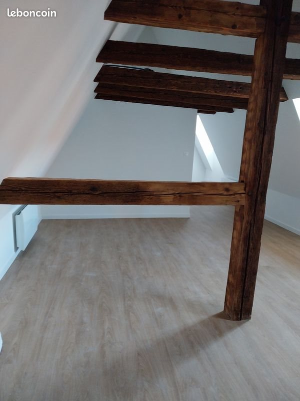 Appartement à louer, 48m², Sélestat