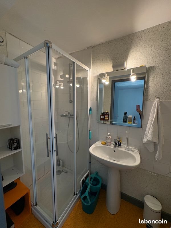 Appartement à louer, 31m², Vizille