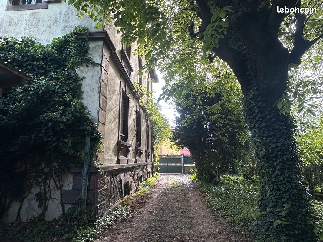 Maison à vendre, 300m², Colmar