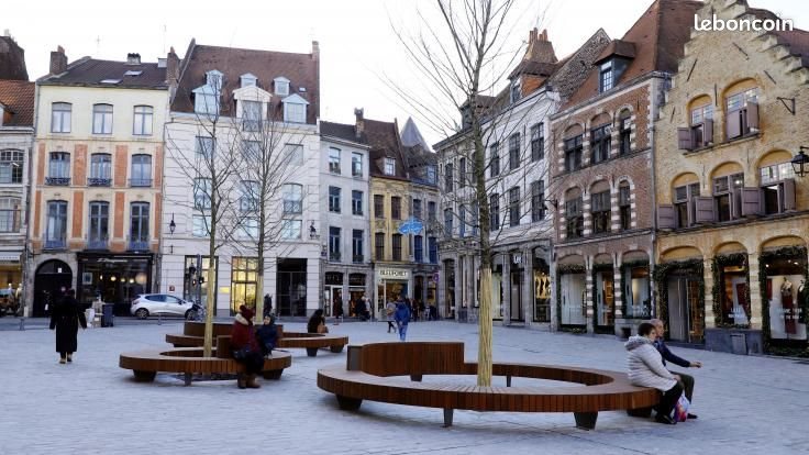 Appartement à vendre, 39m², Lille