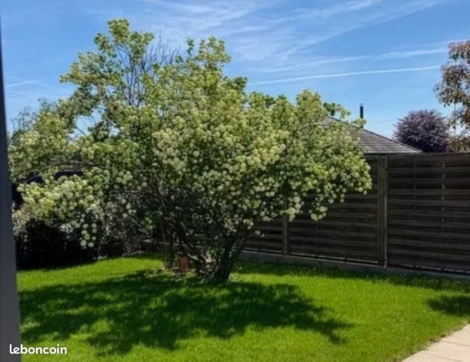 Maison à vendre, 164m², Colmar