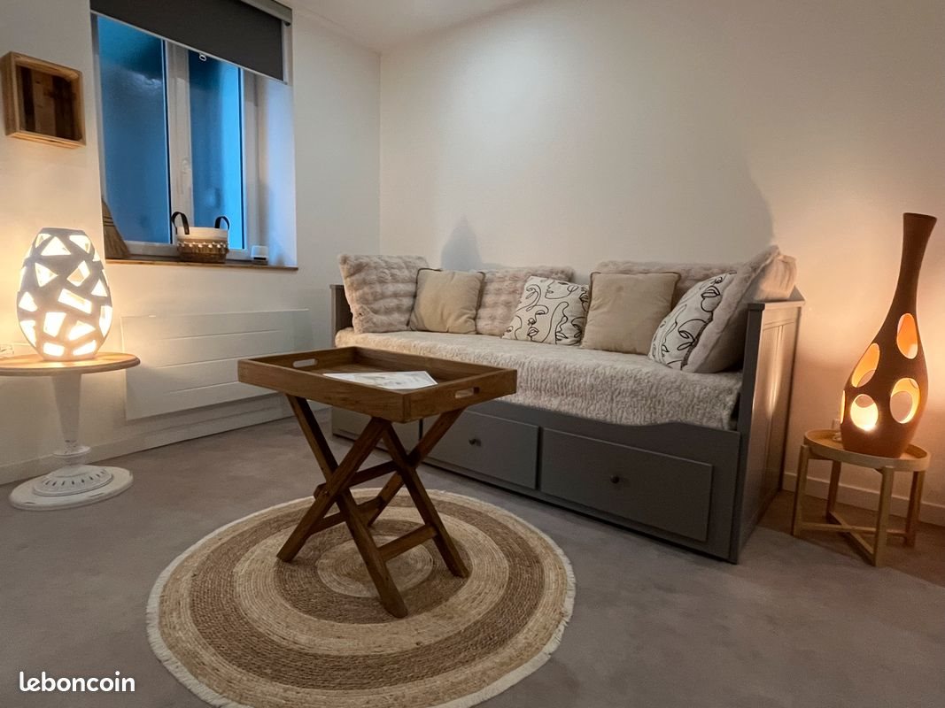 Appartement à louer, 26m², Olivet