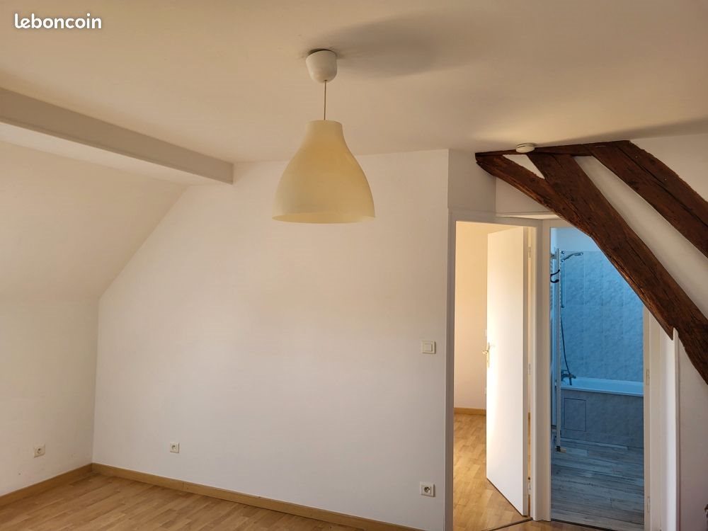 Appartement à louer, 46m², Gien