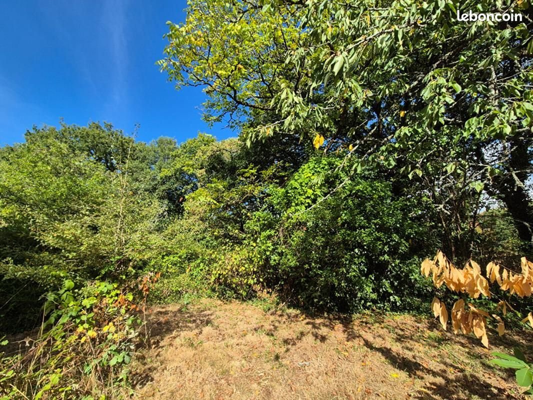 Maison à vendre, 93m², Paimpont