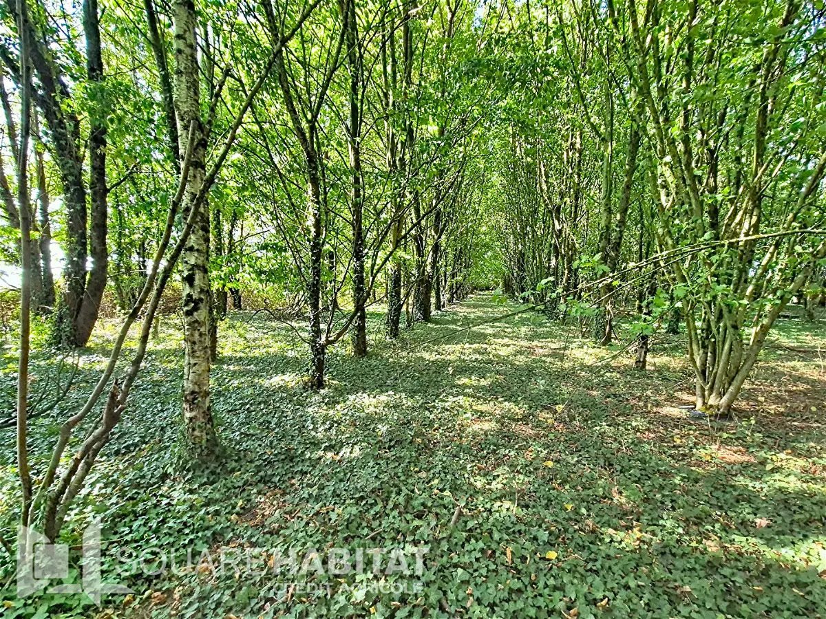 Maison à vendre, 117m², Pipriac