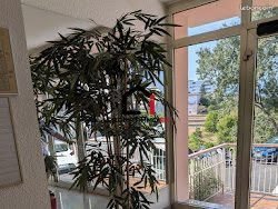 Appartement à vendre, 64m², Cannes