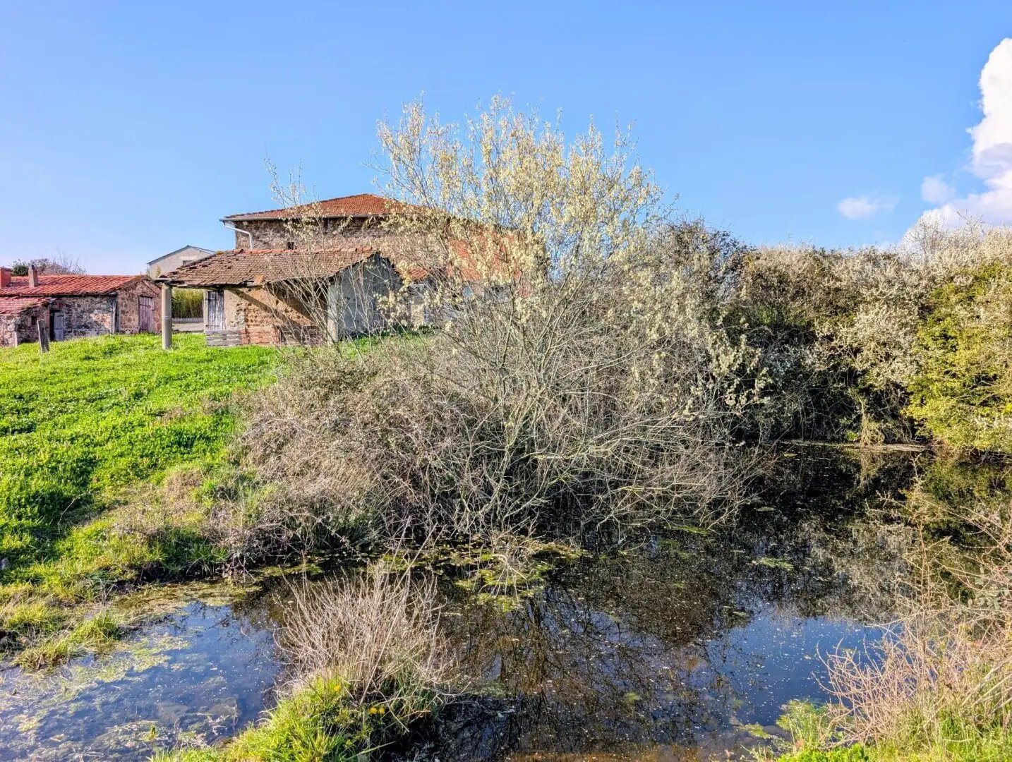Maison à vendre, 134m², Balbigny