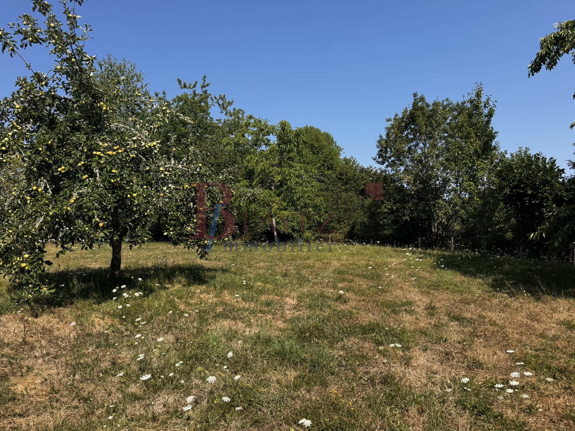 Maison à vendre, 127m², Saint-Merd-de-Lapleau