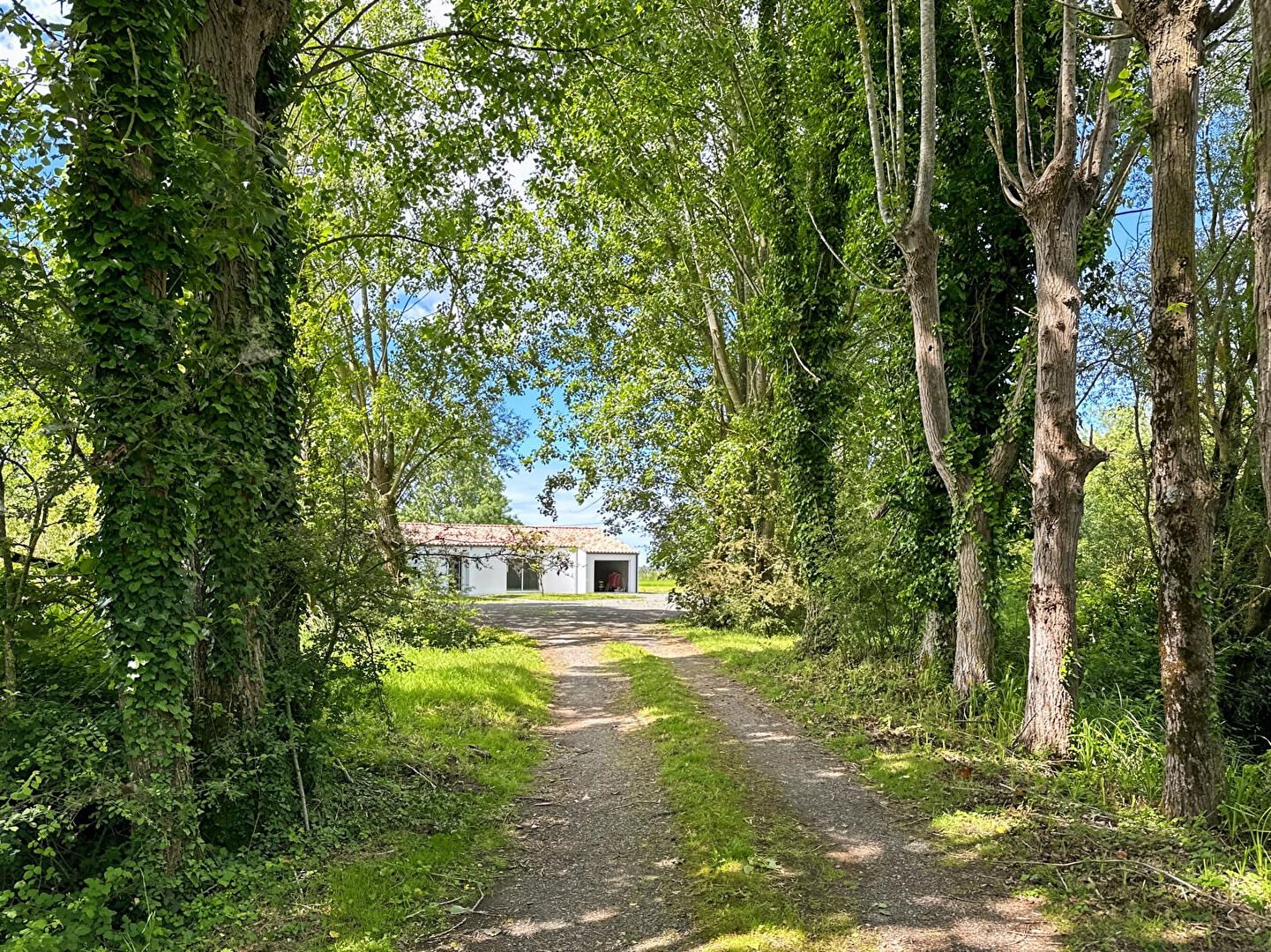 Maison à vendre, 99m², Le Perrier