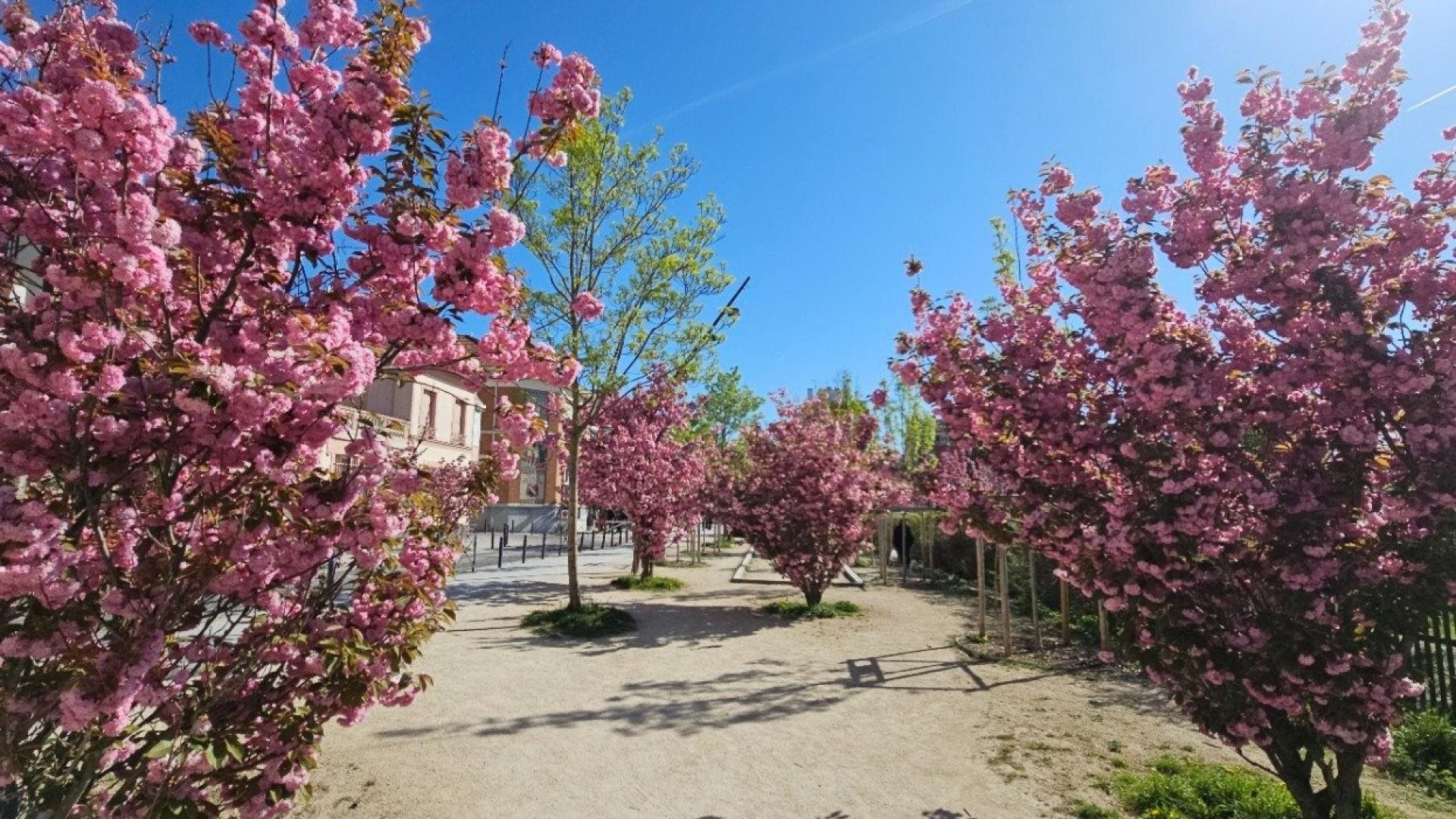 Appartement à vendre, 28m², Les Lilas