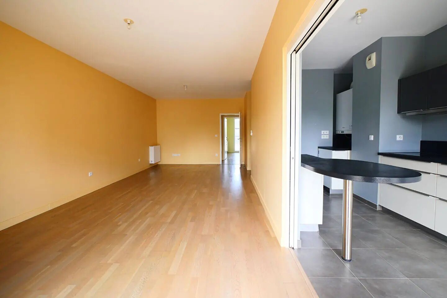 Appartement à vendre, 75m², Angers