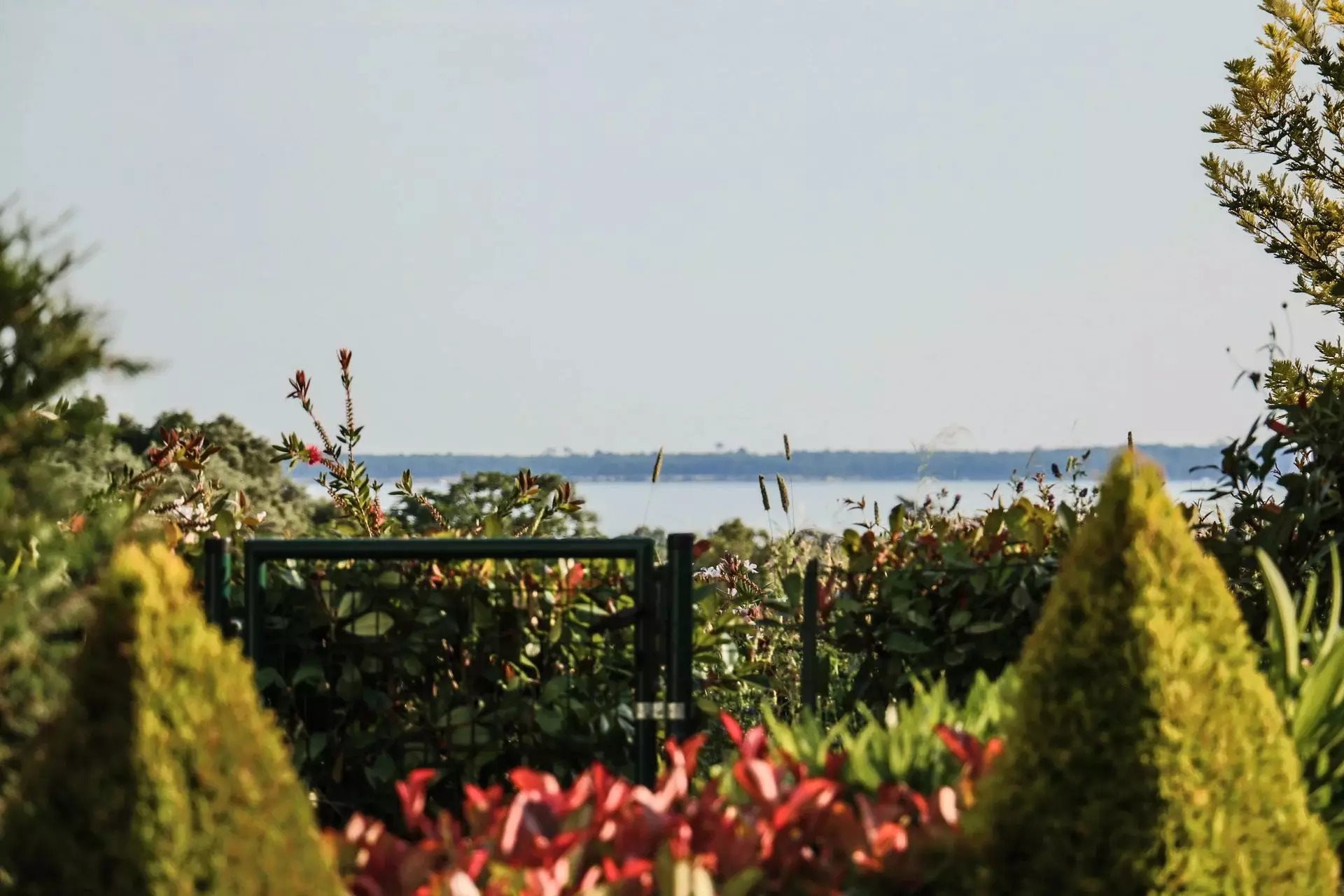 Appartement à louer, 42m², Antibes