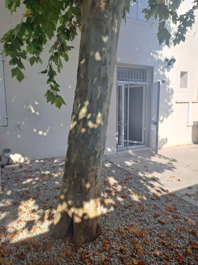 Maison à louer, 73m², Peypin