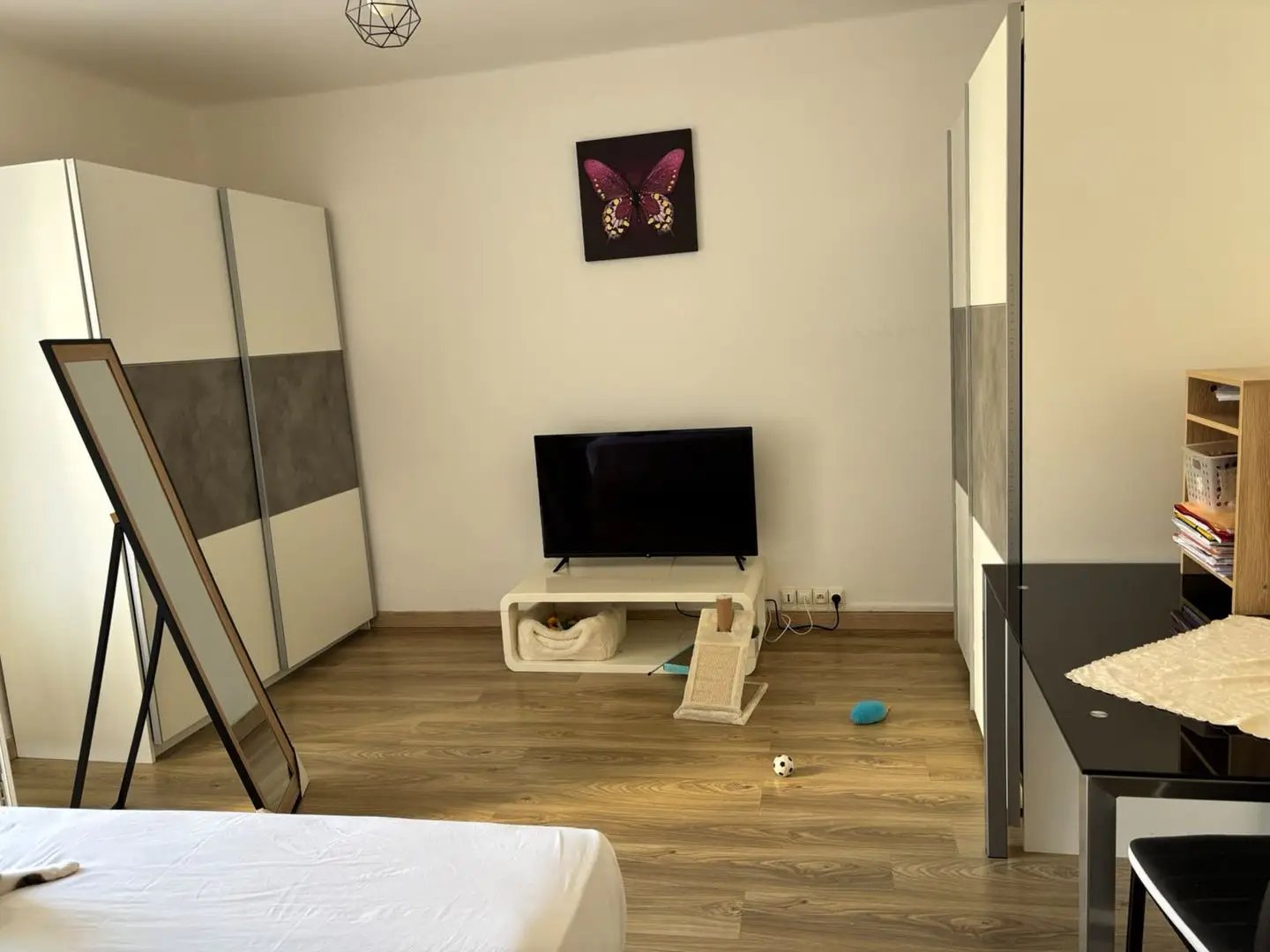 Appartement à louer, 38m², Bastia