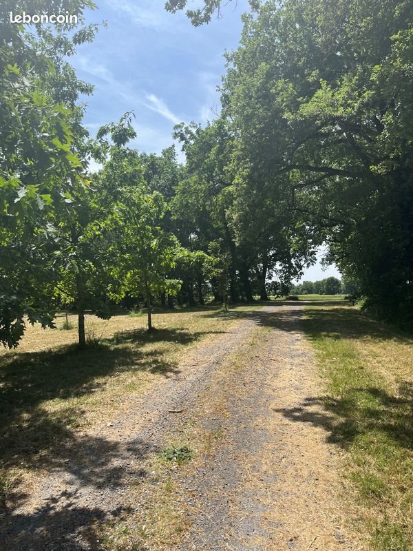 Maison à vendre, 171m², Puylaurens