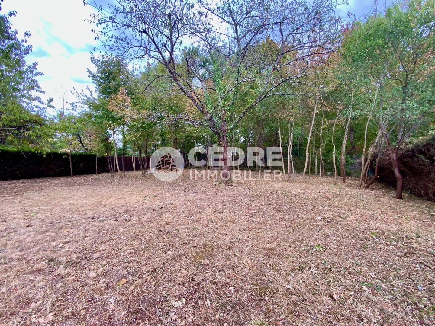 Maison à vendre, 168m², Saint-Pryvé-Saint-Mesmin