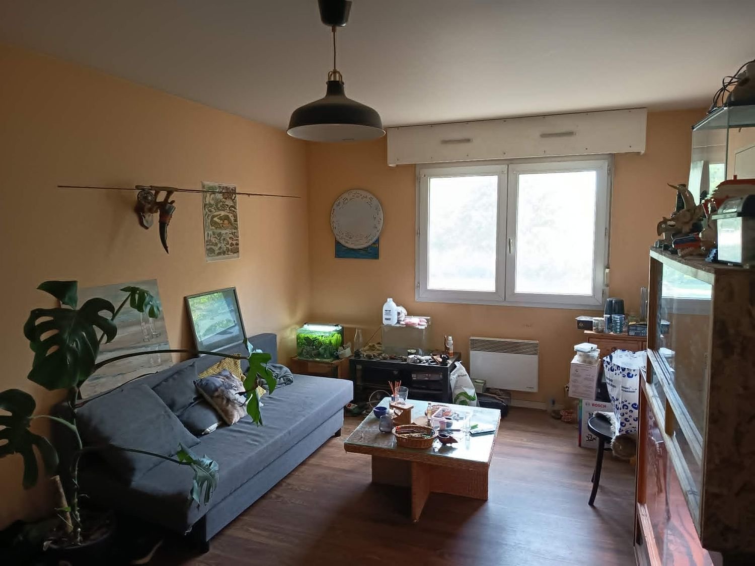 Appartement à vendre, 46m², Angers