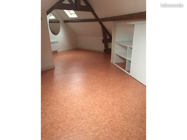 Appartement à louer, 48m², Saumur