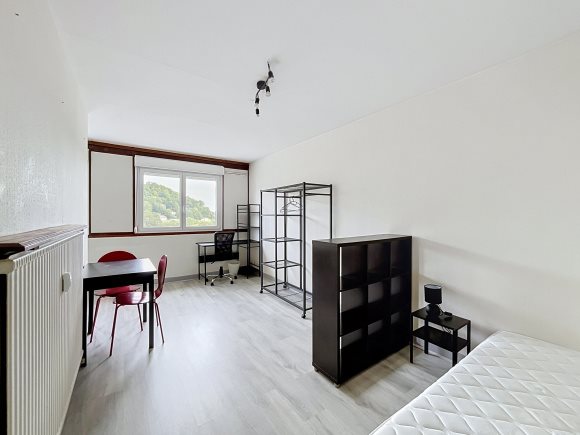 Maison à louer, 25m², Nancy