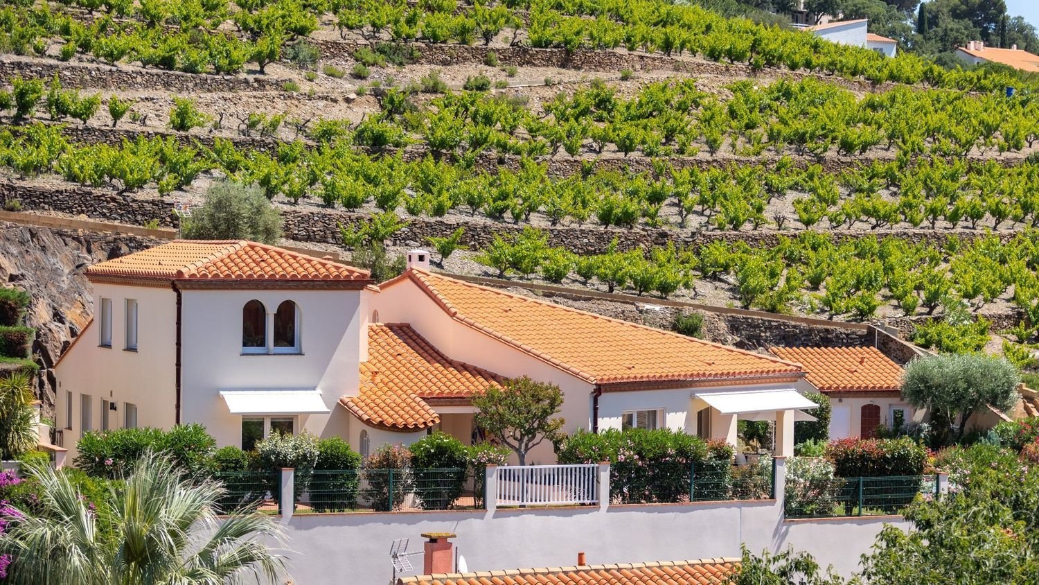 Maison à vendre, 200m², Collioure