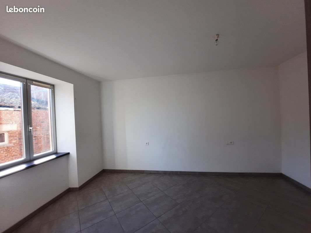 Appartement à louer, 66m², Hilsenheim