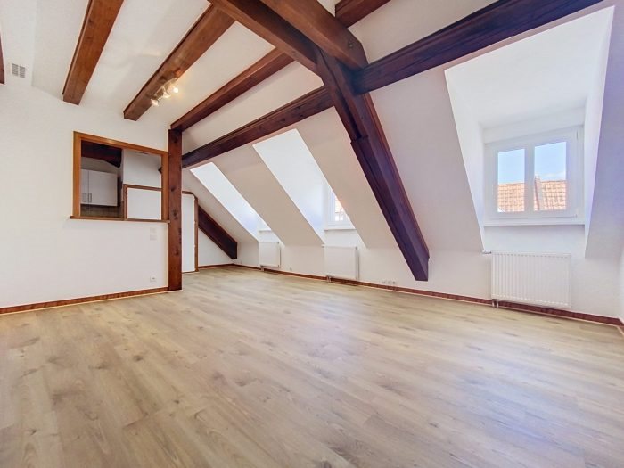 Appartement à louer, 52m², Wolfisheim