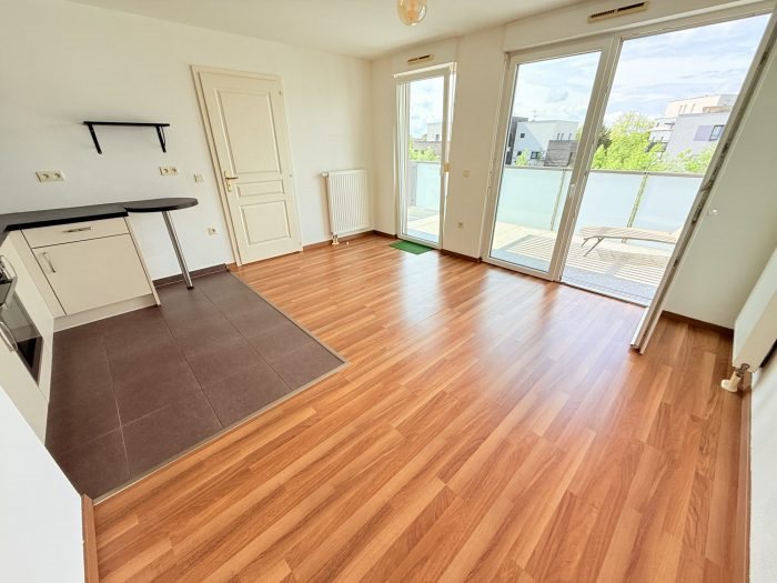Appartement à vendre, 44m², Strasbourg