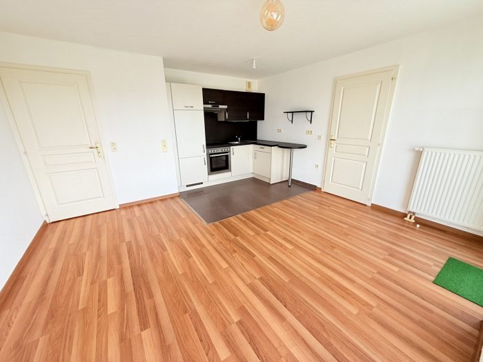Appartement à vendre, 44m², Strasbourg