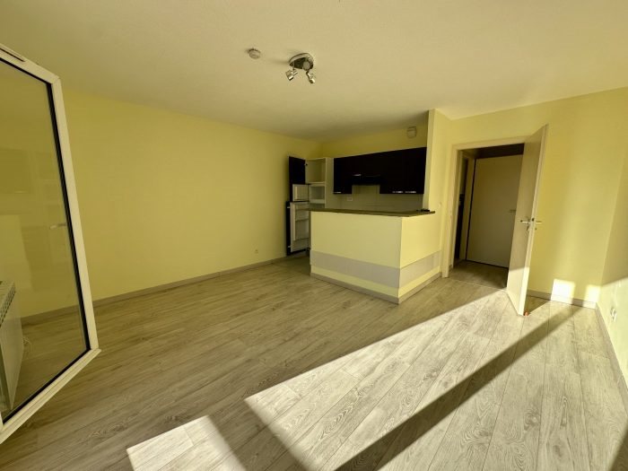Appartement à louer, 29m², Erstein