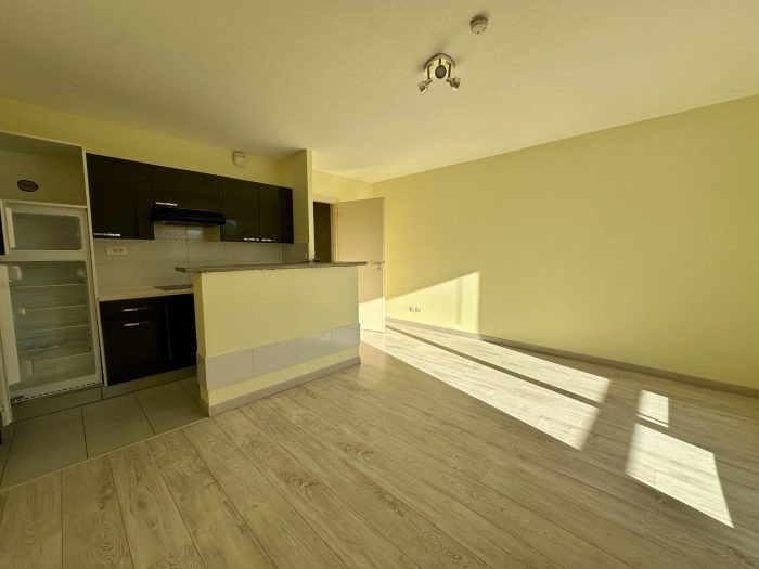 Appartement à louer, 29m², Erstein