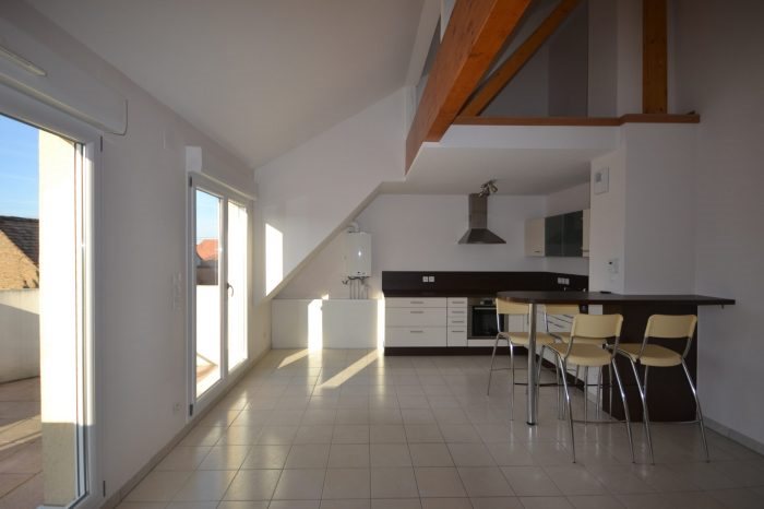 Appartement à louer, 45m², Oberschaeffolsheim
