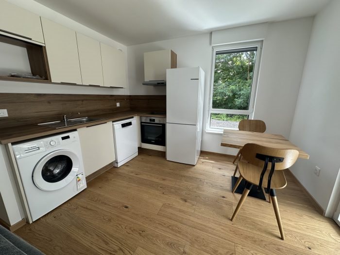 Appartement à louer, 25m², Strasbourg