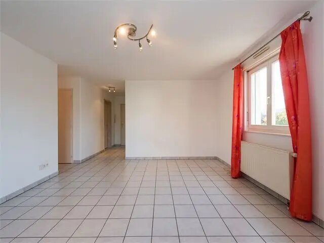 Appartement à louer, 74m², Hagenthal-le-Bas