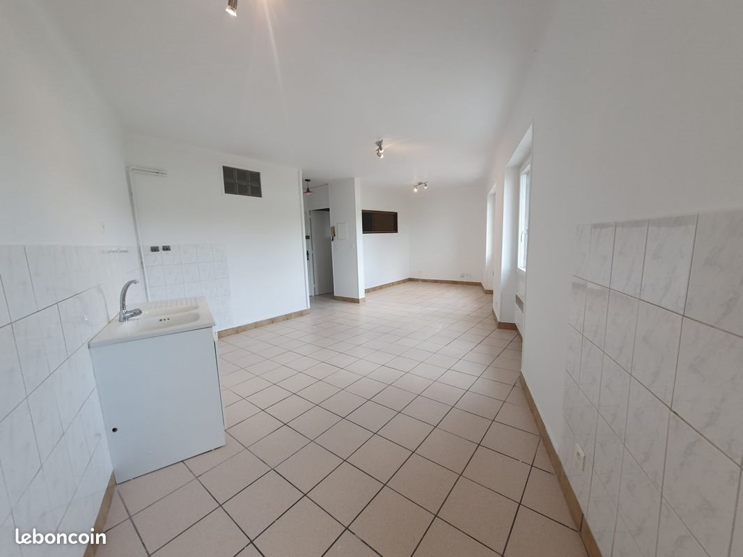 Appartement à louer, 43m², Condrieu